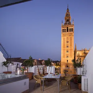 Alemanes Gradas Luxury , Sevilla España
